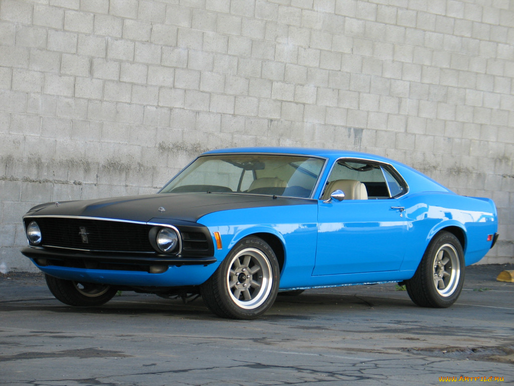 , mustang